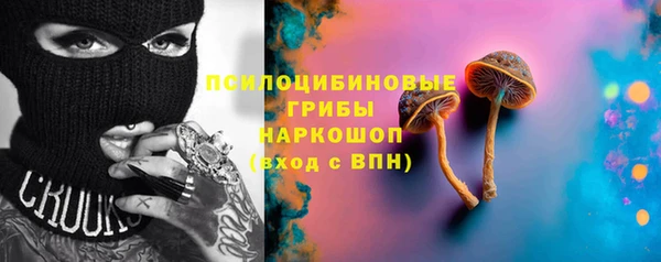 тгк Алексин
