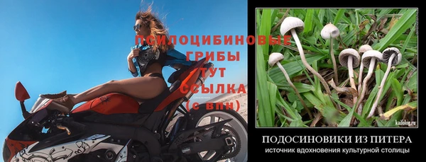 мет Алзамай