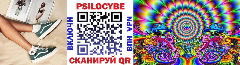 купить   Петровск  Галлюциногенные грибы Cubensis 